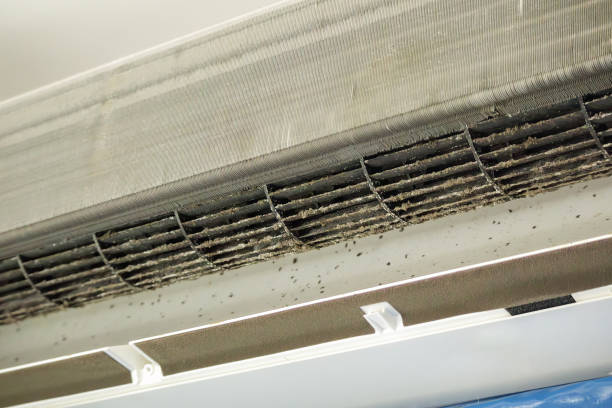 Best Commercial Air Duct Cleaning  in Marinette, WI